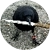 crow with knife